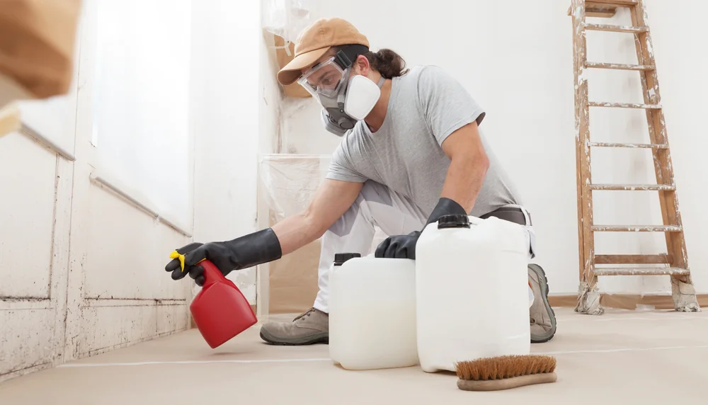 Protective worker spraying cleaning solution on mold and dirt along an interior wall near the floor during home renovation or mold remediation.