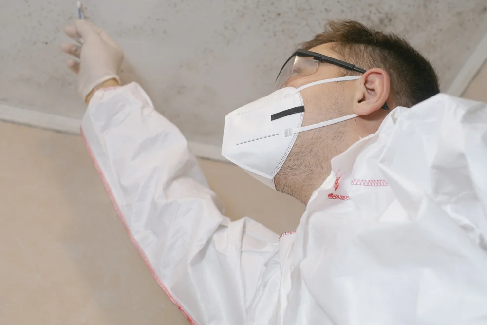 Protective worker in safety suit inspecting or treating mold spots on an indoor ceiling, addressing moisture damage and potential mold growth inside a building.