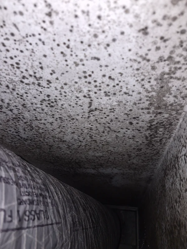Moldy vent surface in Bucks County Pennsylvania showing dark buildup around an air duct and signs of moisture related contamination